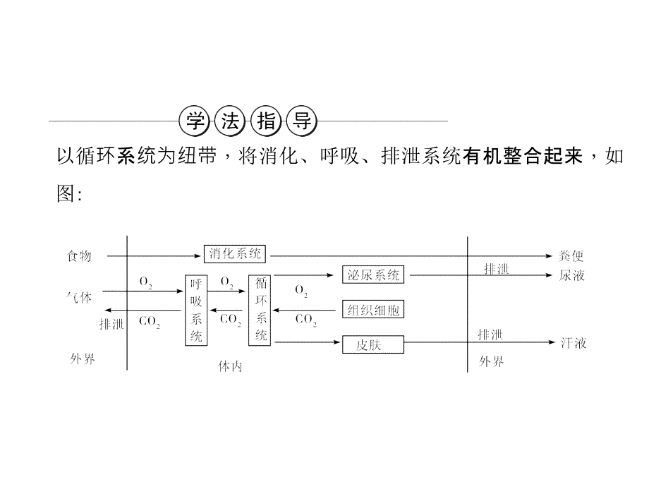 2021中考生物复习讲练：生物圈中的人(人教版)(优秀)课件_第2页