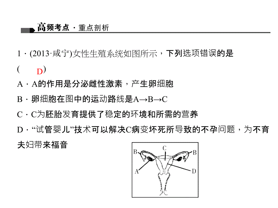 2021中考生物复习讲练：生物圈中的人(人教版)(优秀)课件_第4页