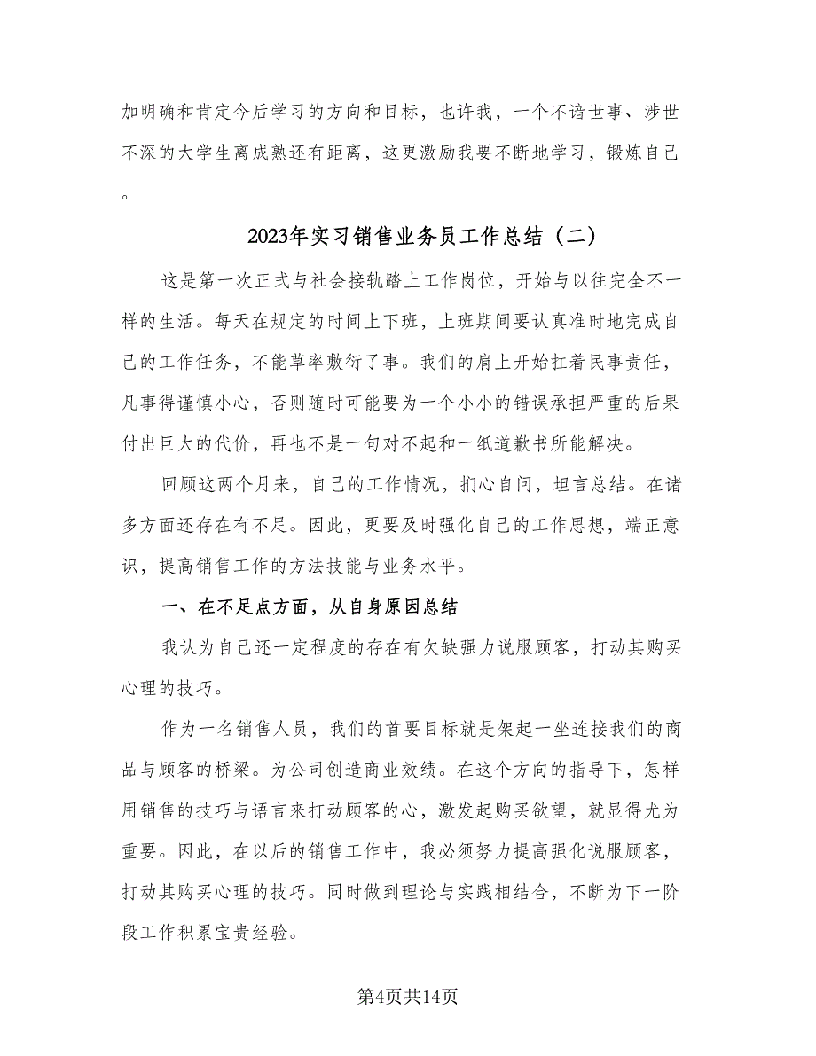 2023年实习销售业务员工作总结（六篇）.doc_第4页