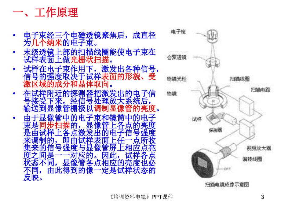 培训资料电镜PPT课件课件_第3页