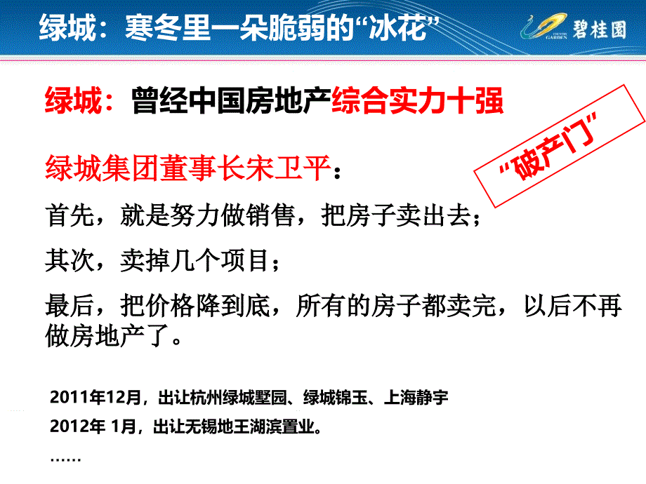 碧桂园推广费用和费率管理78页_第4页