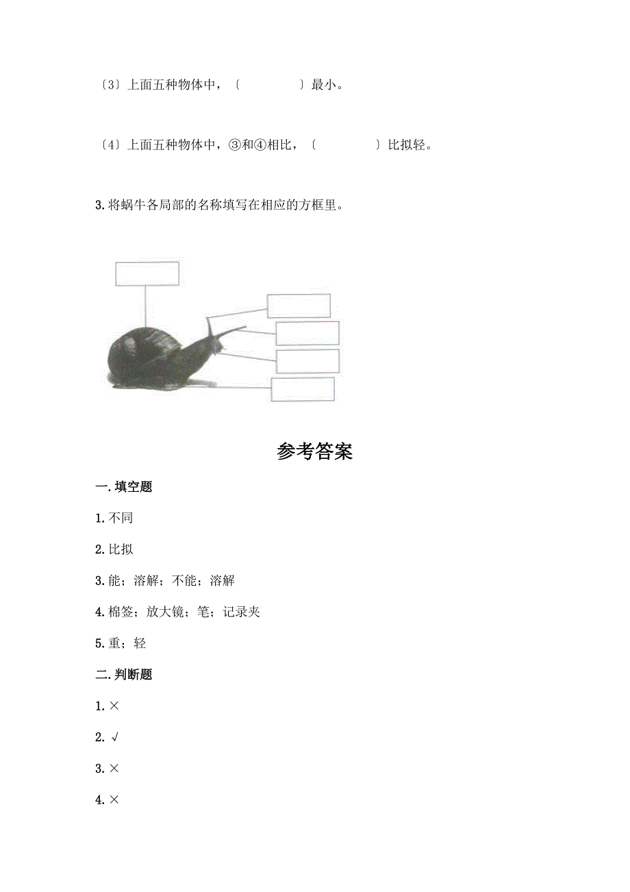 一年级下册科学期末测试卷加答案(轻巧夺冠).docx_第5页