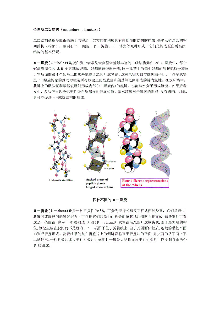 蛋白质二级结构.doc_第1页