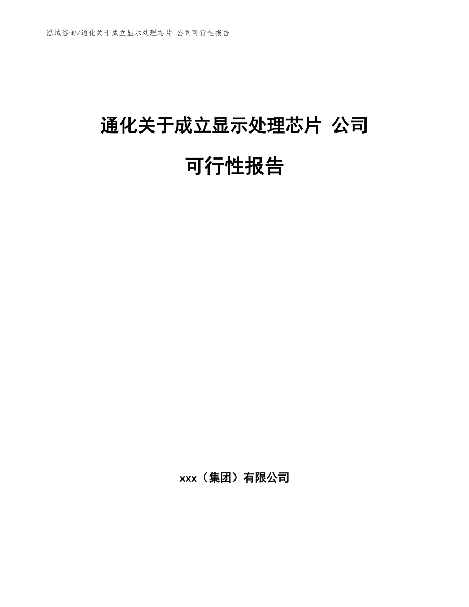 通化关于成立显示处理芯片 公司可行性报告_模板_第1页