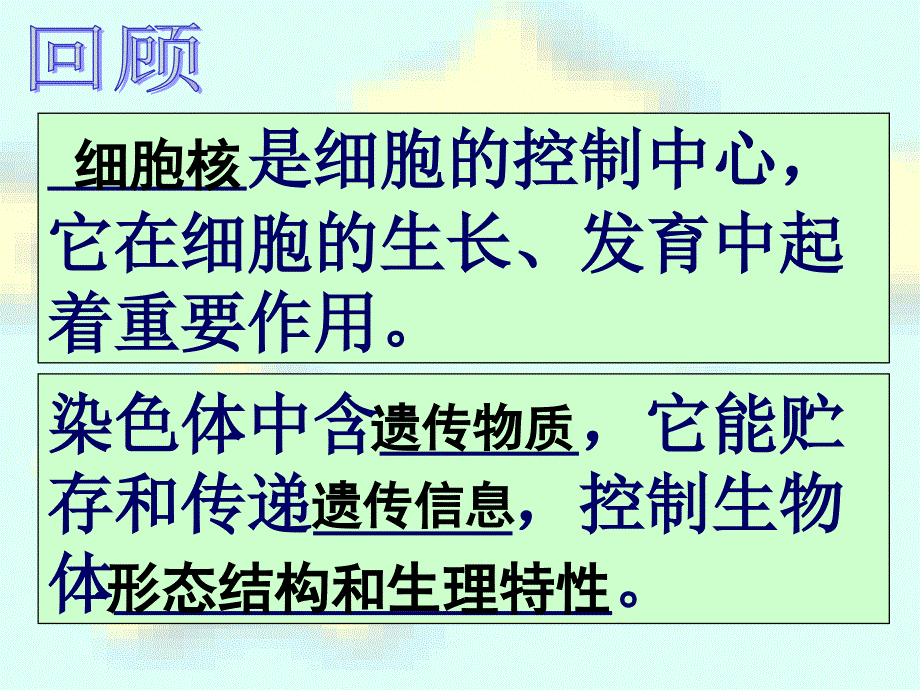 细胞的分裂与分化_第4页