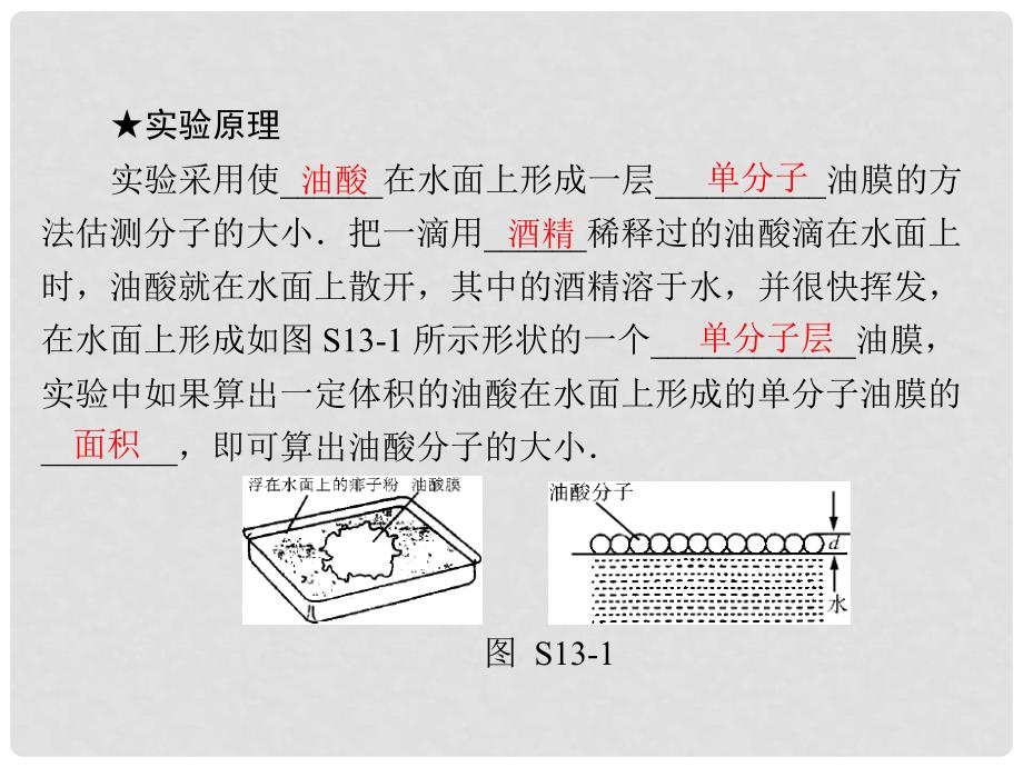 南方新高考高考物理大一轮复习 实验十三 用油膜法估测分子的大小课件_第3页