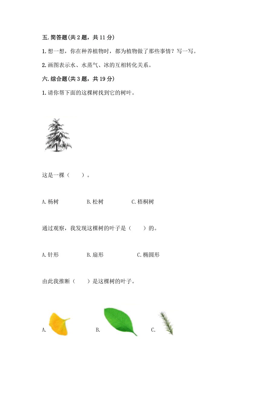 新教科版科学一年级上册第一单元《植物》测试卷【含答案】.docx_第4页