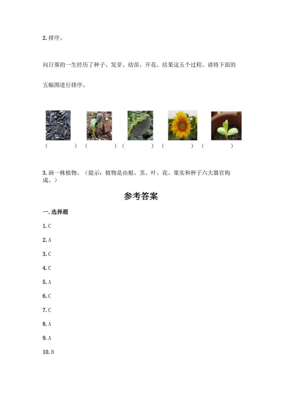 新教科版科学一年级上册第一单元《植物》测试卷【含答案】.docx_第5页