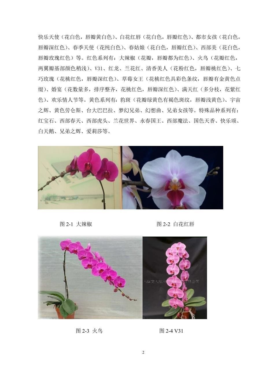 蝴蝶兰的养护与管理——以慈溪地区为例_第5页