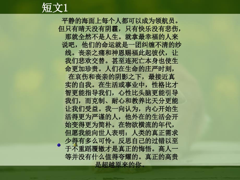 翻译篇第八章短文翻译练习p_第2页