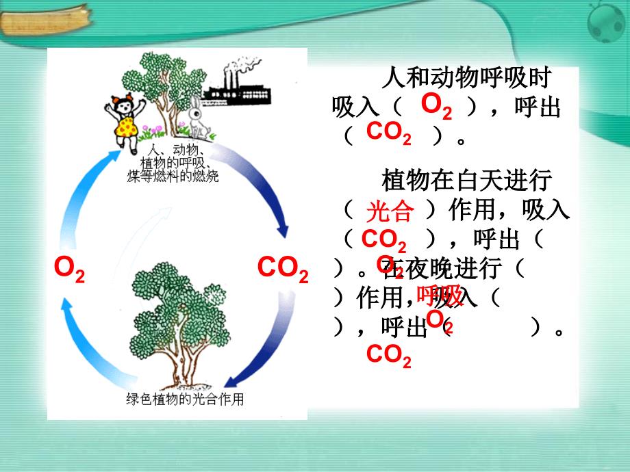 二氧化碳的制取的研究1_第2页