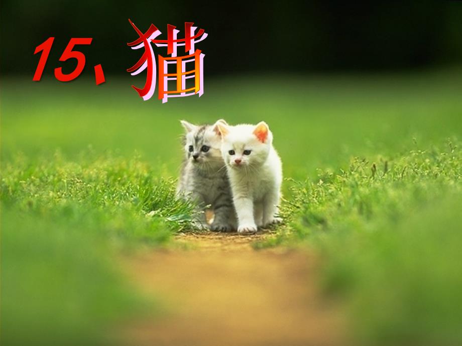 人教版四年级语文上册15猫课件2_第1页