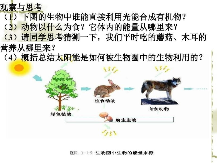 生物：2.1.5《绿色植物在生物圈中的作用》课件2(济南版七年级上)-(2)_第5页