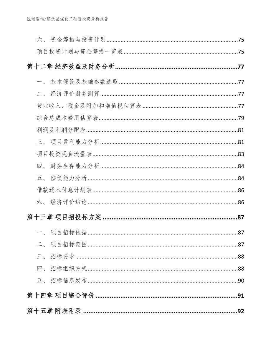 镇沅县煤化工项目投资分析报告_第5页