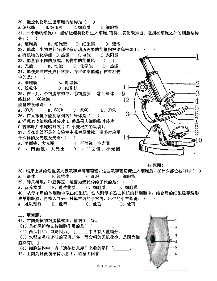 7上第二单元第一章练习题1_第3页