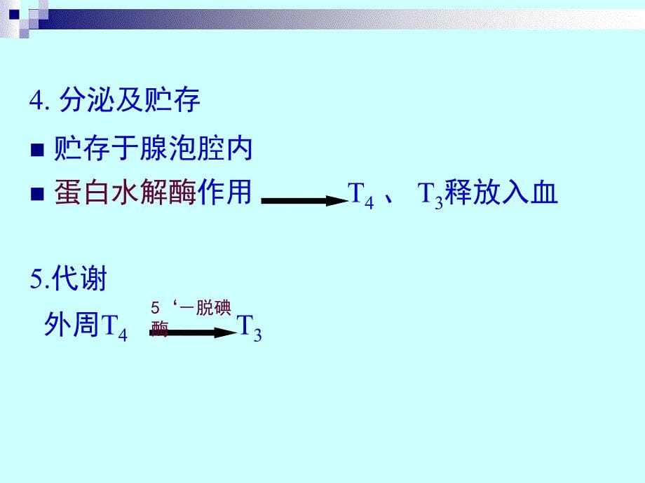 甲状腺激素及抗甲状腺药_第5页