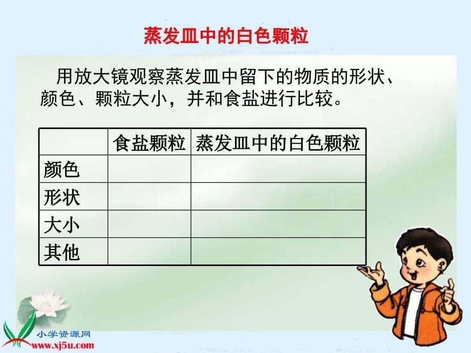 教科版四年级科学上册课件分离盐和水的方法_第5页