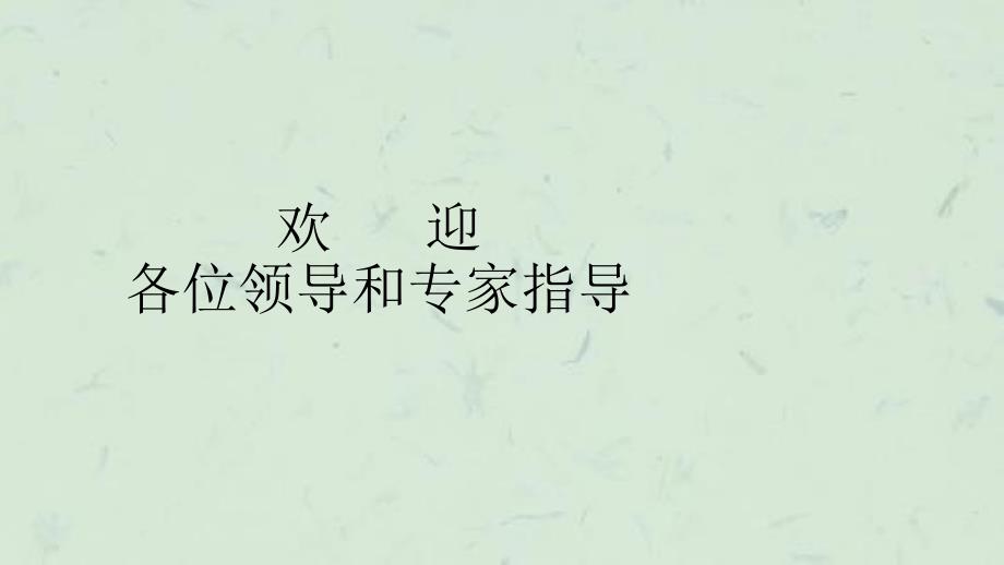 兴文粤华混凝土搅拌站改扩建项目环评课件_第1页