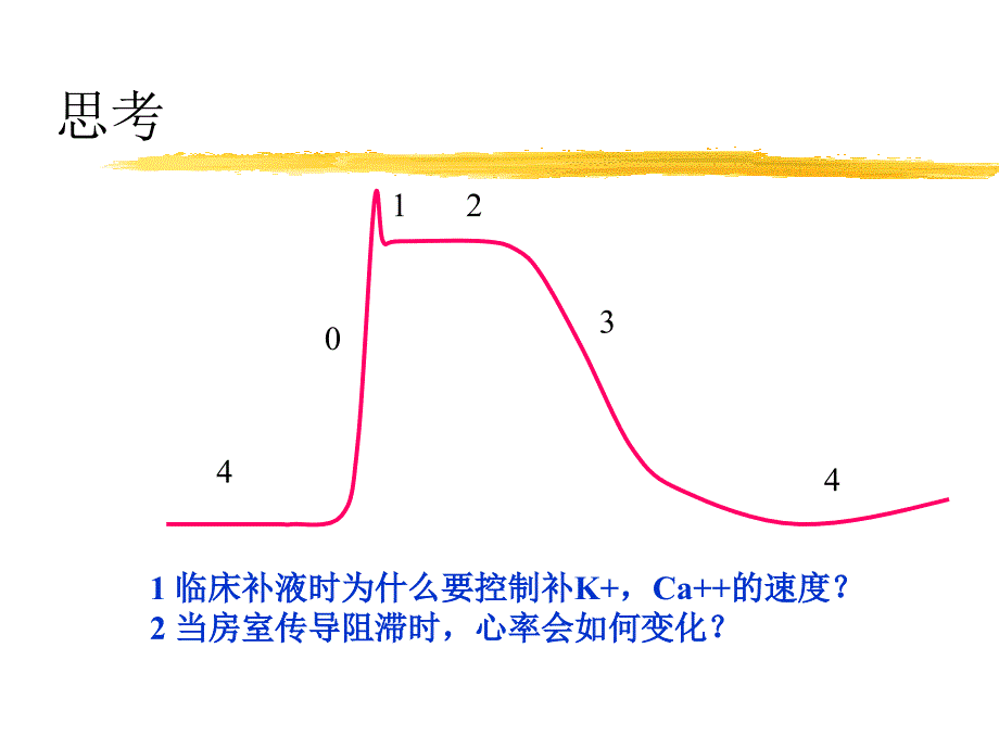 循环系统血管生理教学课件_第3页