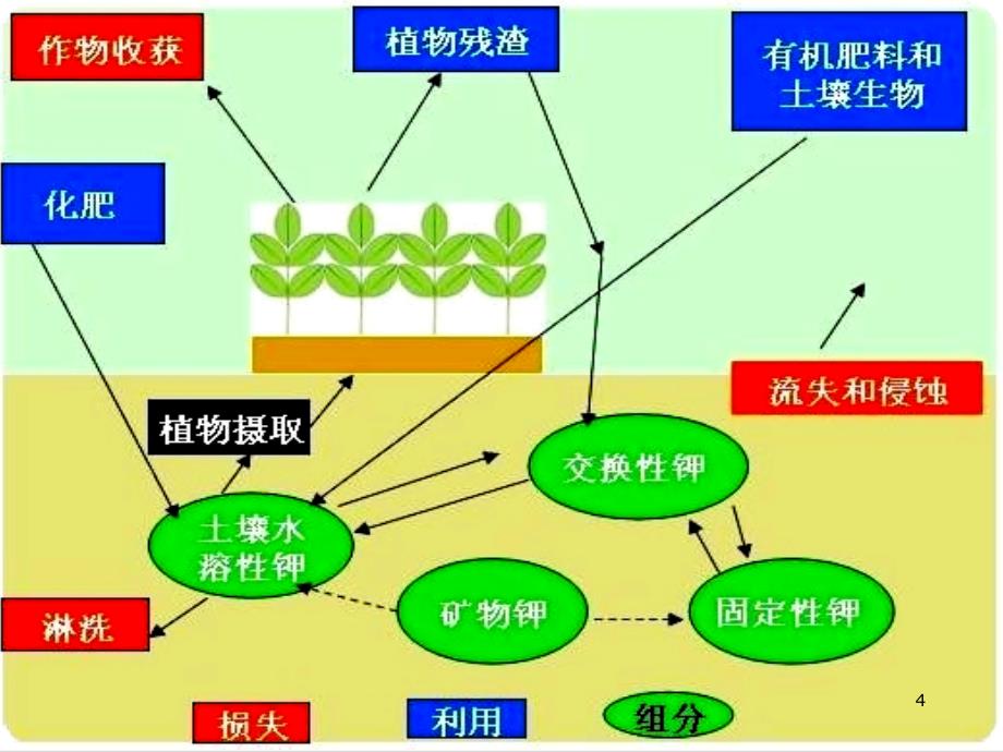 土壤水溶性和酸溶性硫酸盐的测定_第4页