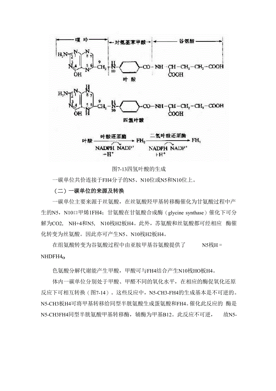 第二节 个别氨基酸代谢_第2页