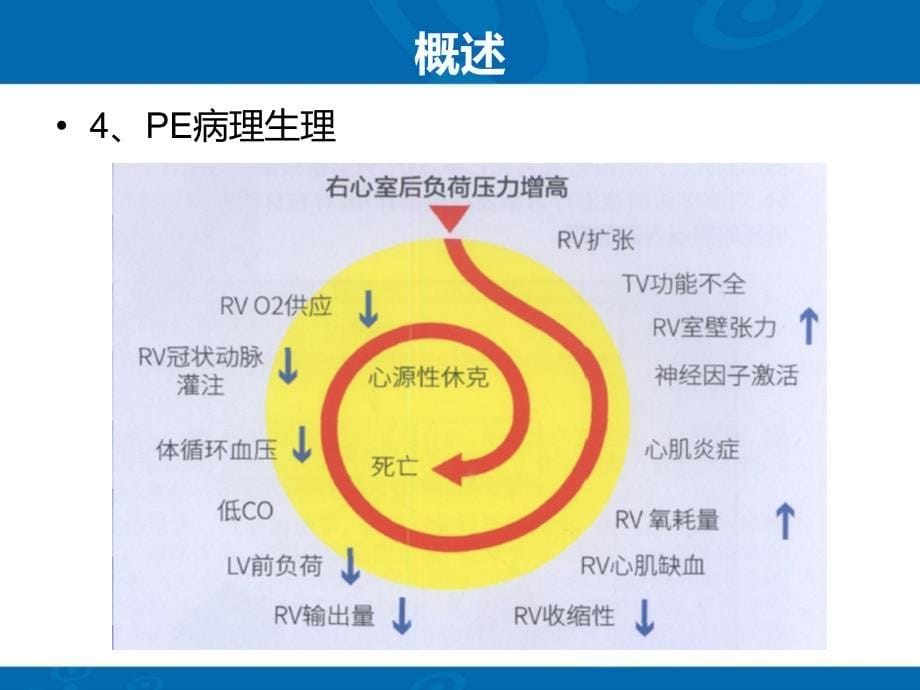 最新：肺动脉栓塞pe的影像诊断ppt课件文档资料_第5页