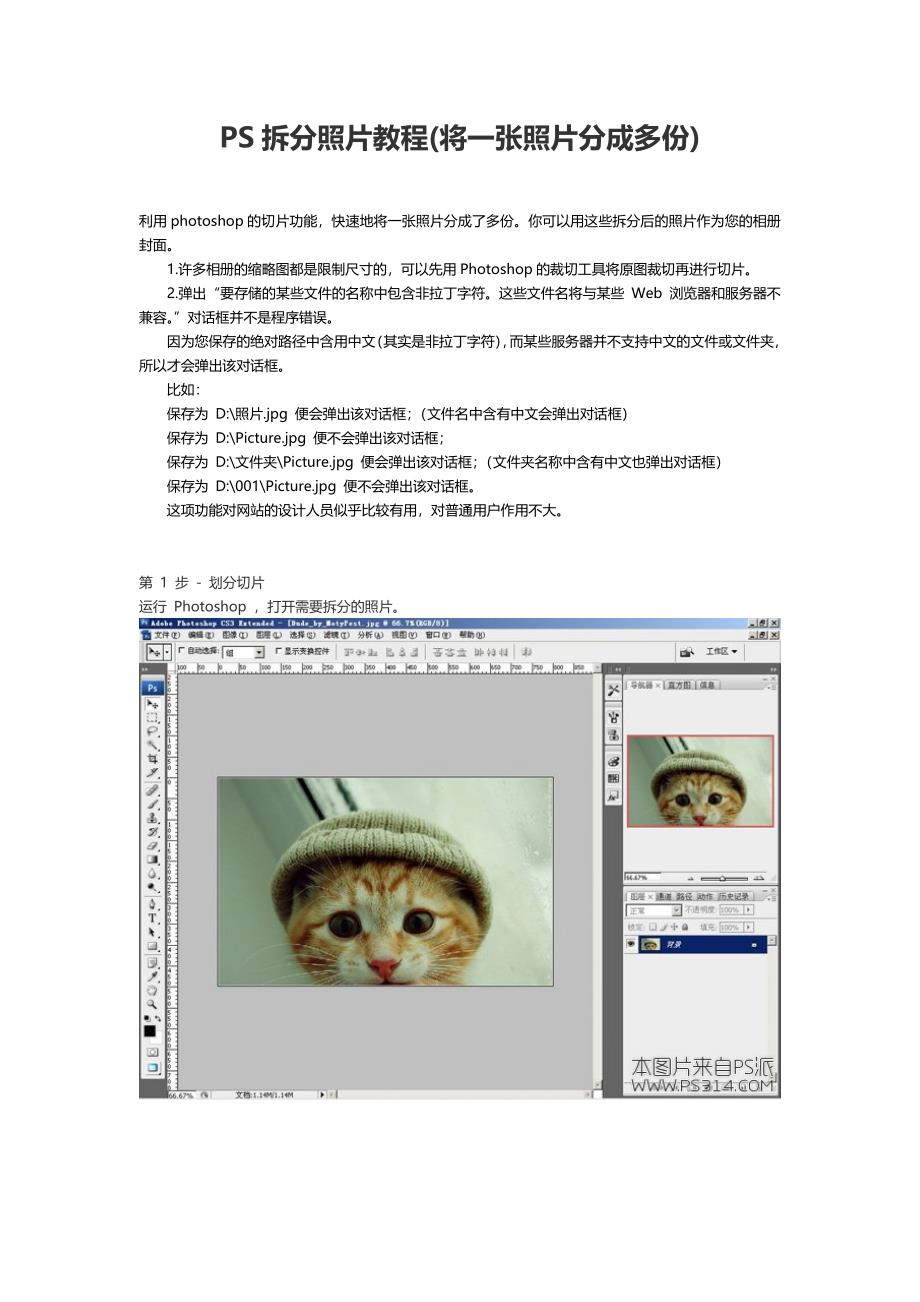 PS拆分照片教程(将一张照片分成多份).doc_第1页