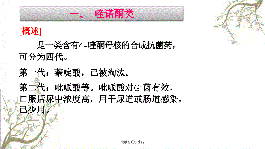 化学合成抗菌药课件_第2页