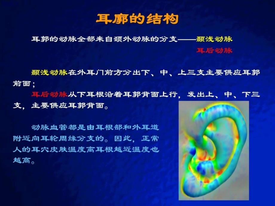 耳穴快速记忆法、定位法及各种操作方法_第3页