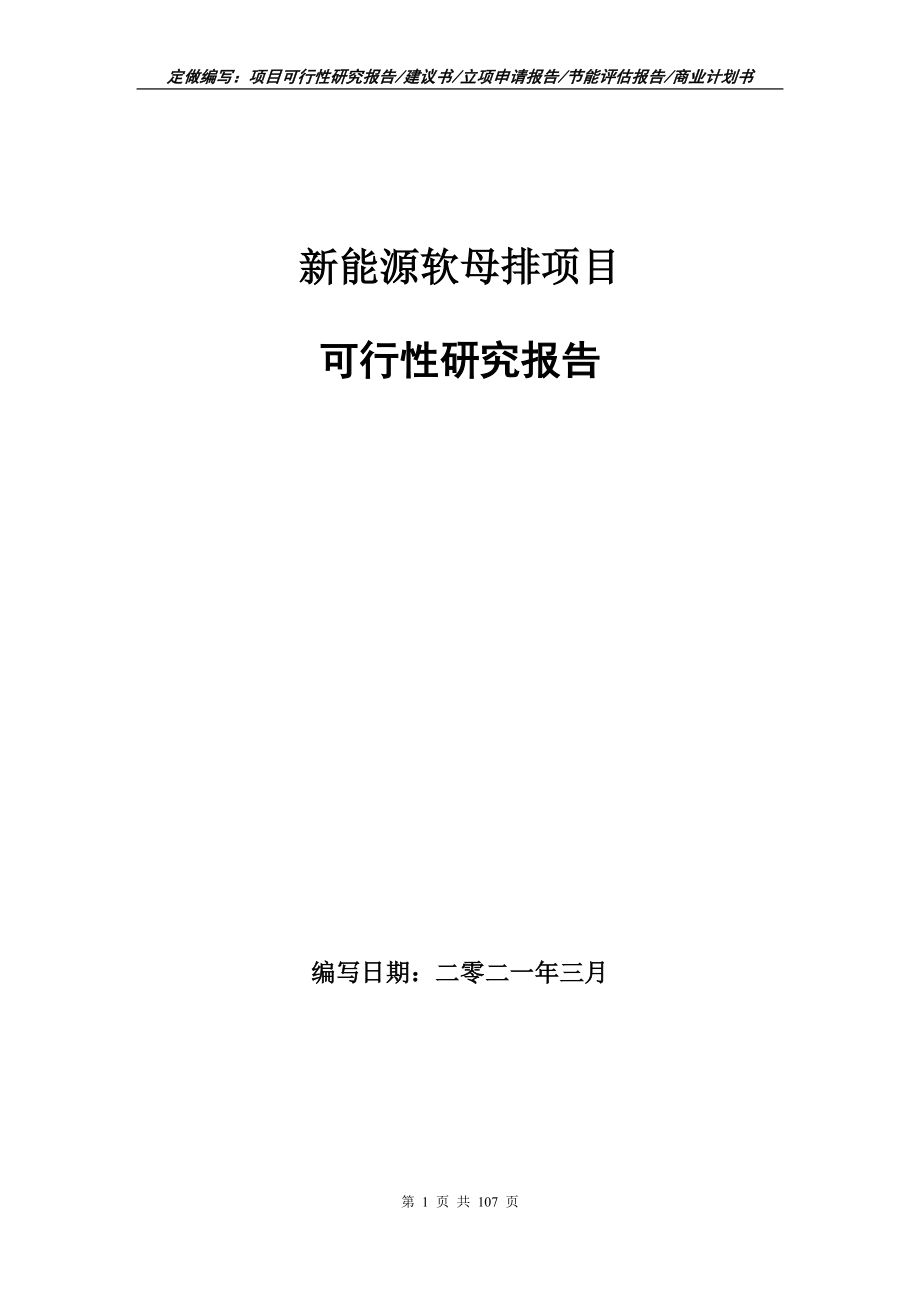 新能源软母排项目可行性研究报告立项申请写作范本_第1页