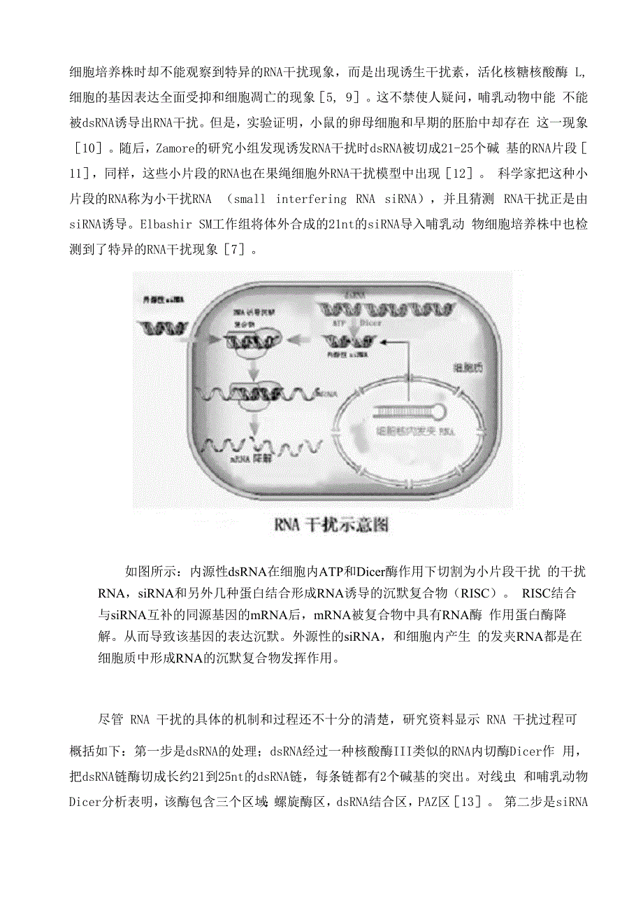 dsRNA和RNA干扰技术_第3页