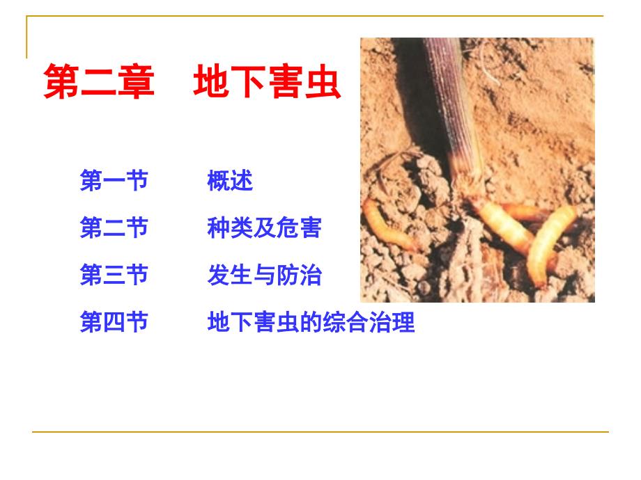 第二章 地下害虫_第1页