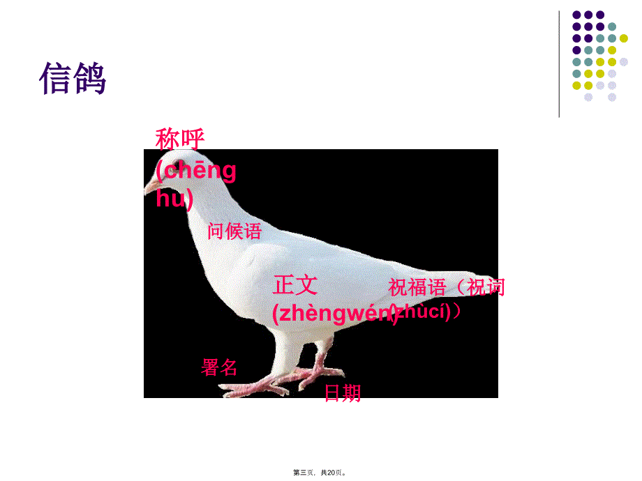 三年级写信作文指导课件教案资料_第3页