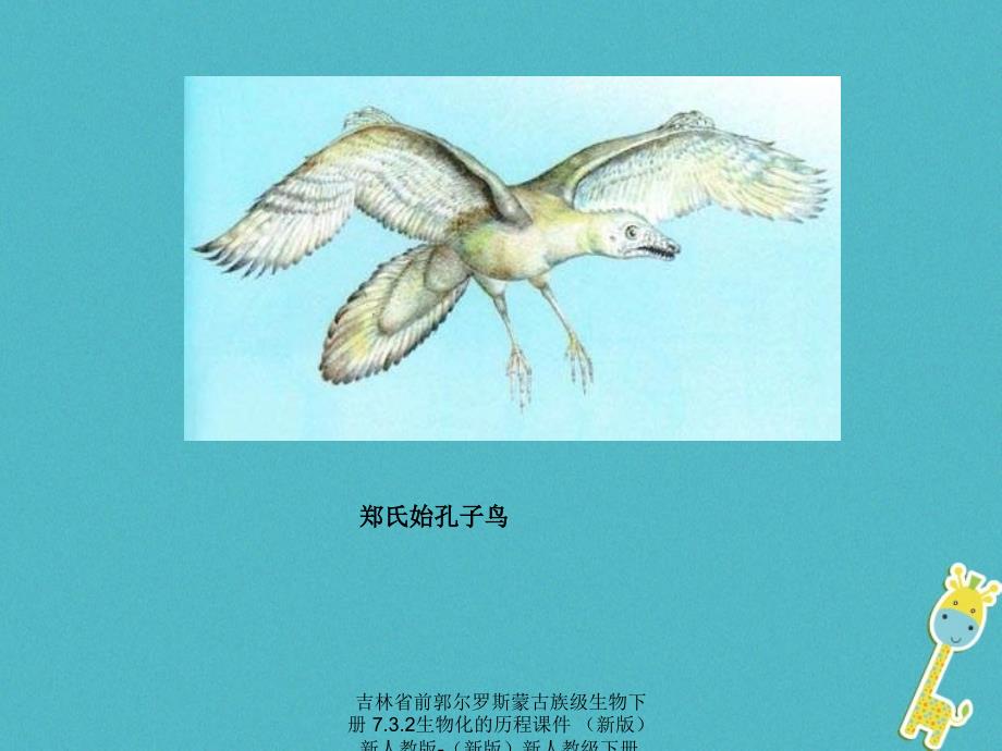 最新吉林省前郭尔罗斯蒙古族级生物下册7.3.2生物化的历程课件新版新人教版新版新人教级下册生物课件_第2页