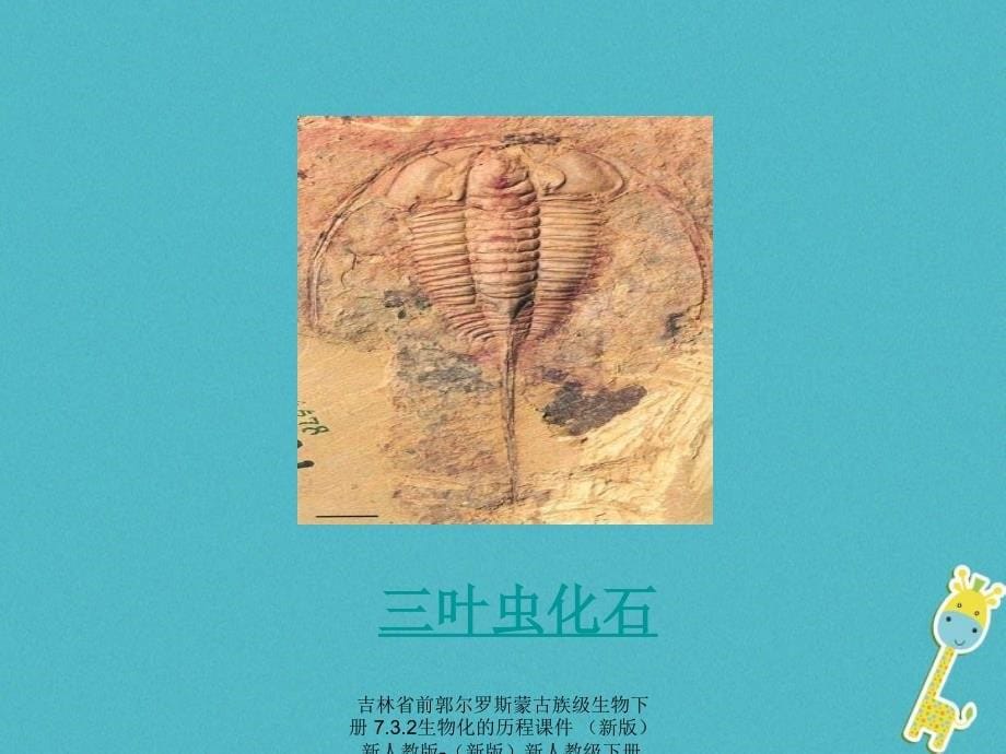 最新吉林省前郭尔罗斯蒙古族级生物下册7.3.2生物化的历程课件新版新人教版新版新人教级下册生物课件_第5页