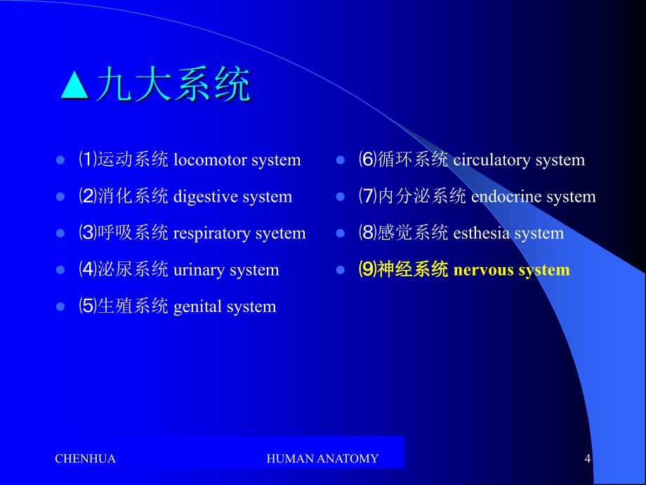 人体器官的组成及系统的划分_第4页