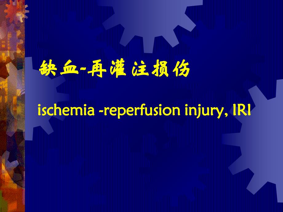 病理生理学教学课件：缺血-再灌注损伤_第2页