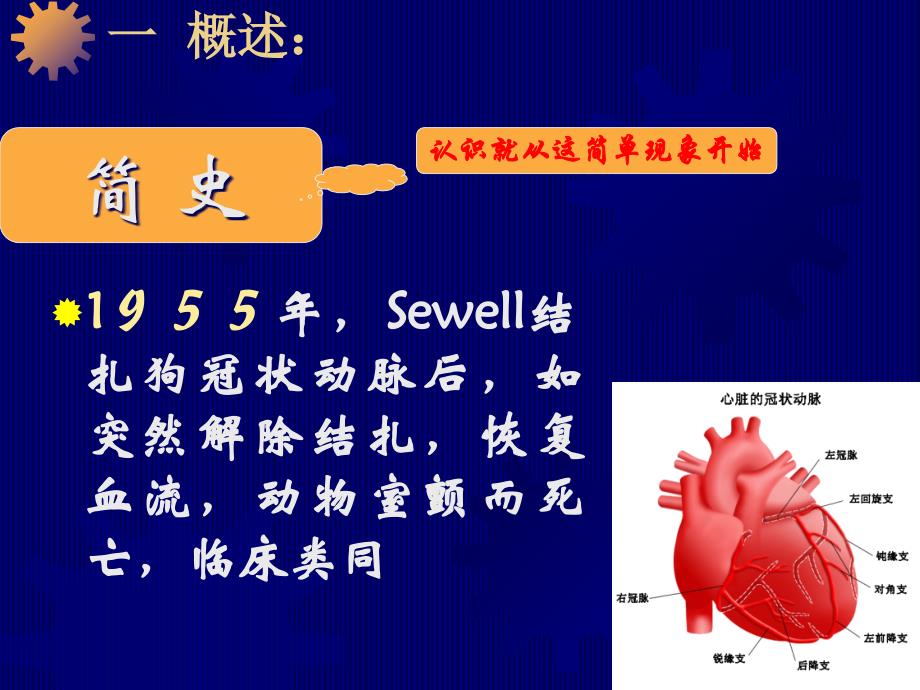 病理生理学教学课件：缺血-再灌注损伤_第4页