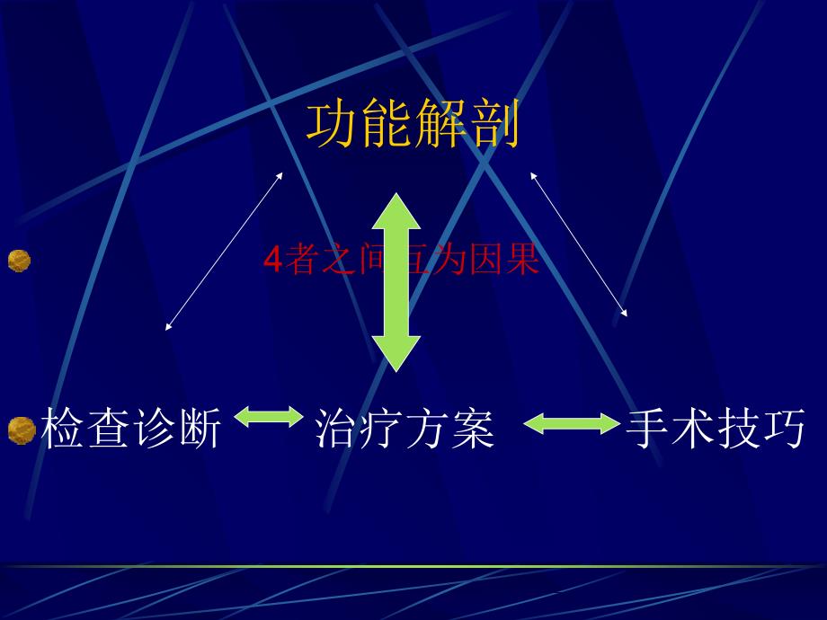 手部的功能解剖_第2页