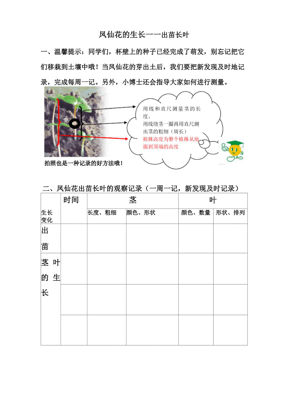 种植凤仙花观察记录册_第4页