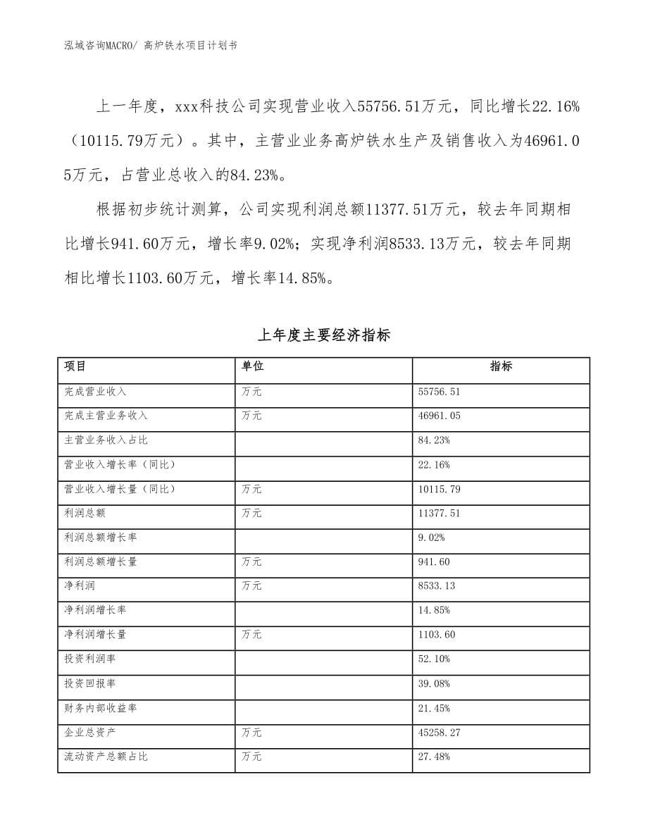 高炉铁水项目计划书_第5页