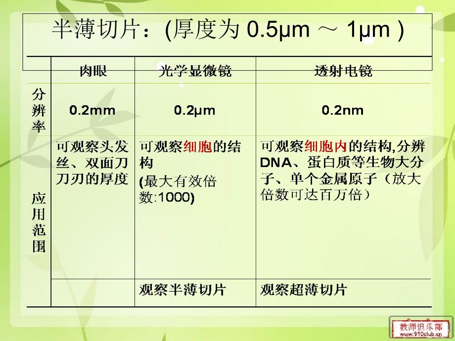 半薄切片技术介绍PPT课件_第4页