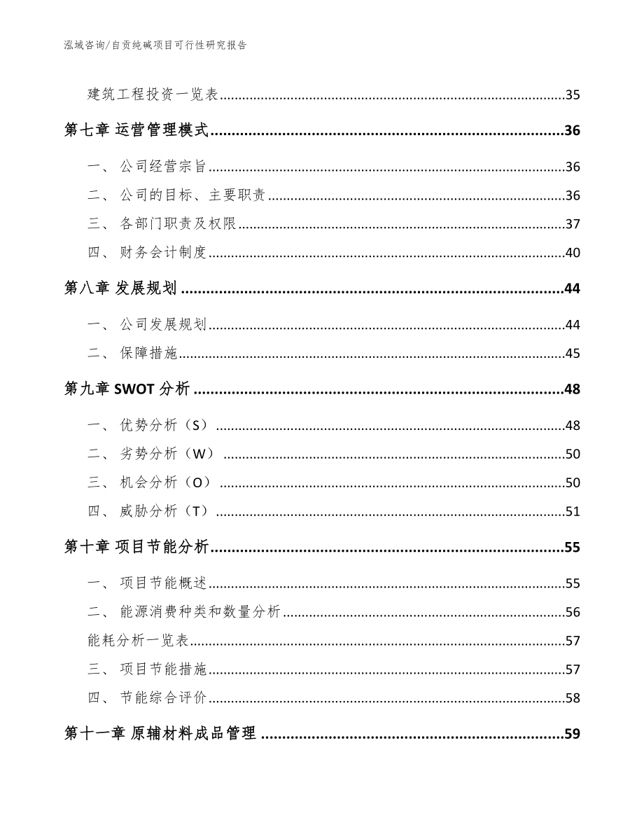 自贡纯碱项目可行性研究报告参考范文_第4页