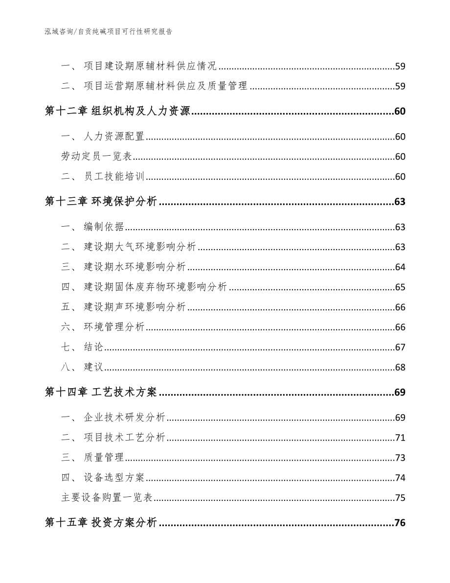 自贡纯碱项目可行性研究报告参考范文_第5页