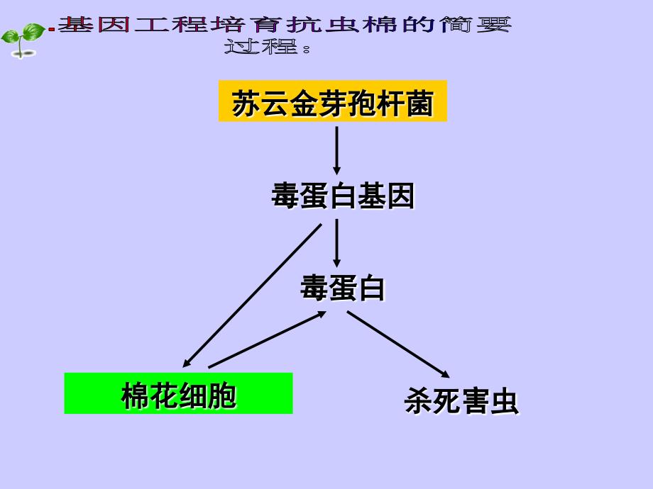 《基因工程基本内容》PPT课件.ppt_第4页