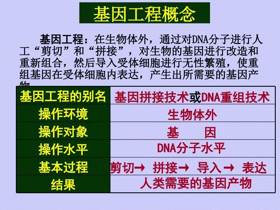 《基因工程基本内容》PPT课件.ppt_第5页