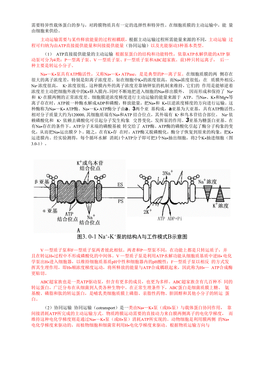 30、物质的跨膜运输_第2页