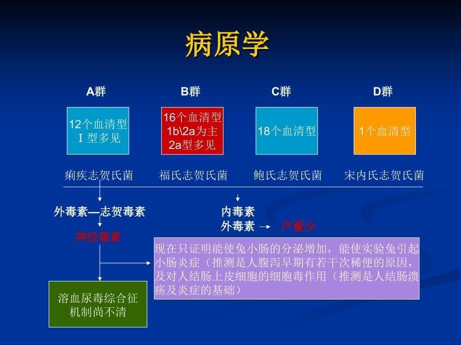 《细菌性痢疾》PPT课件_第5页