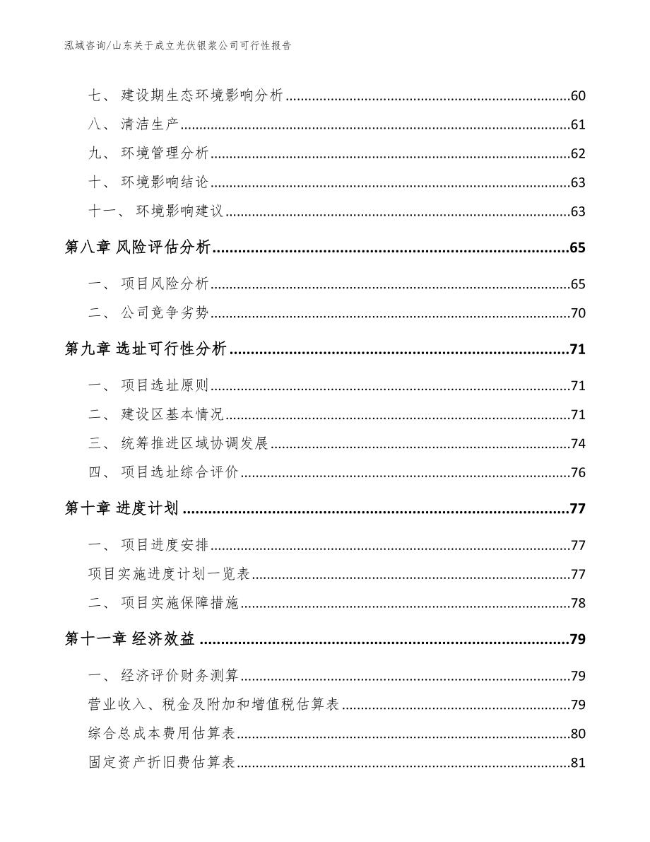 山东关于成立光伏银浆公司可行性报告_第4页