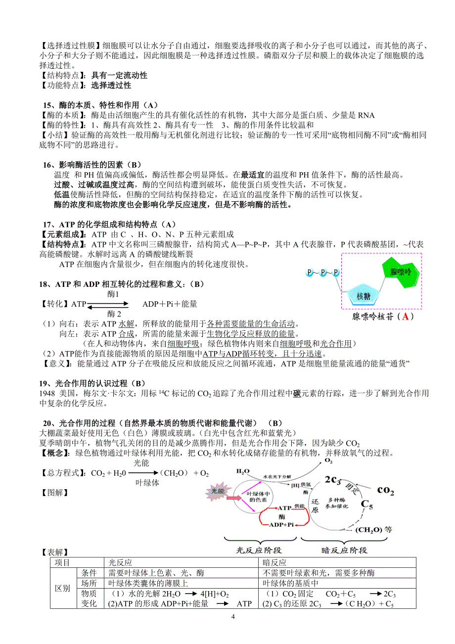 高中生物学业水平测试考点整理.doc_第4页